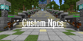 Custom NPCs