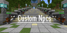 Custom NPCs