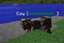 SimpleHPBars logo