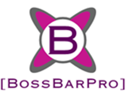 BossBarPro project image