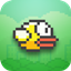 Flappy Steve logo