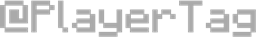 PlayerTag logo