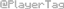PlayerTag logo