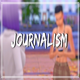 Journalism Career  project image