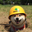 Shibarewards logo