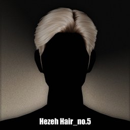 [Hezeh] Hair_No5 logo