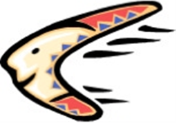 Boomerang logo