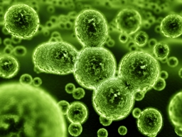 Plagues and Diseases