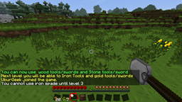 LevelRestrictions logo