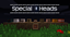 SpecialHeads logo