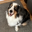 BubbelPack logo