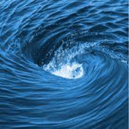 Project Whirlpool logo