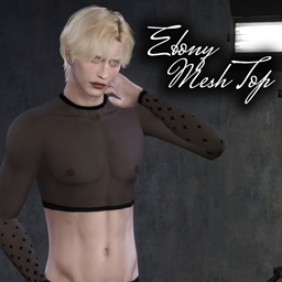 Ebony Mesh Crop Top (Obsidian Obsessions Collection)
