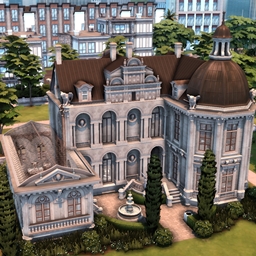 Dark Academia library