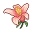Lilium Explori logo