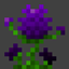 Abandoned Botany logo