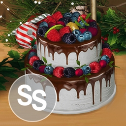 Creamy Chocolate Cake with Berries