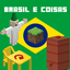 Brazil and Things  logo