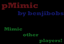 pMimic logo