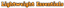 Lightweight Essentials logo