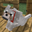 zPetProtect logo