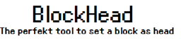 BlockHead v3.0 logo