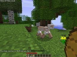 SheepFeed project image