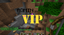 AdminVIP logo