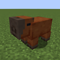 Files - Capybara Craft - Mods - Minecraft - CurseForge