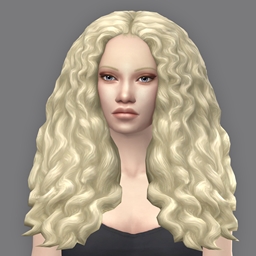QICC - Ayla Hair
