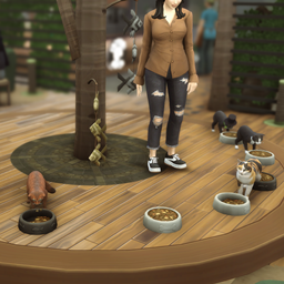 Modern Eco Cat Cafe