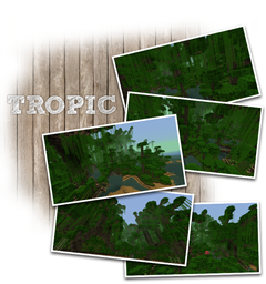 Tropic