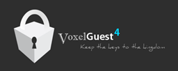 VoxelGuest project image