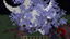 ExplosiveMining logo