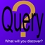 Query logo