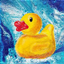 The Splashing Pond logo