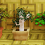 Recreated Foliage logo