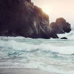 SeleniumCraft Exclusive