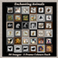 Enchanting Animals Paintings logo