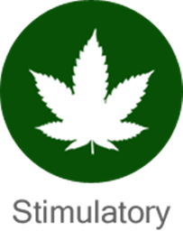 Stimulatory project image