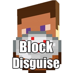 Block Disguise