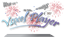 VoxelPlayer logo