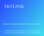 SkyLink logo