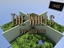 TheWalls logo