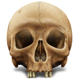 KillCount project image