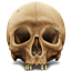 KillCount logo