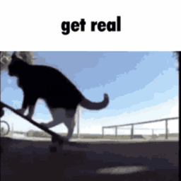 get REAL fps logo