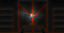 Arena P.V.M logo