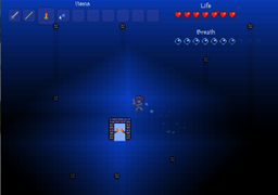 The Knight of Terraria