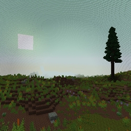 Life Behind the Dome